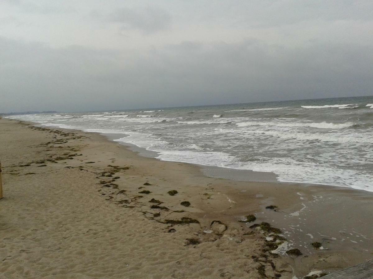 Seestern Daire Dahme  Dış mekan fotoğraf